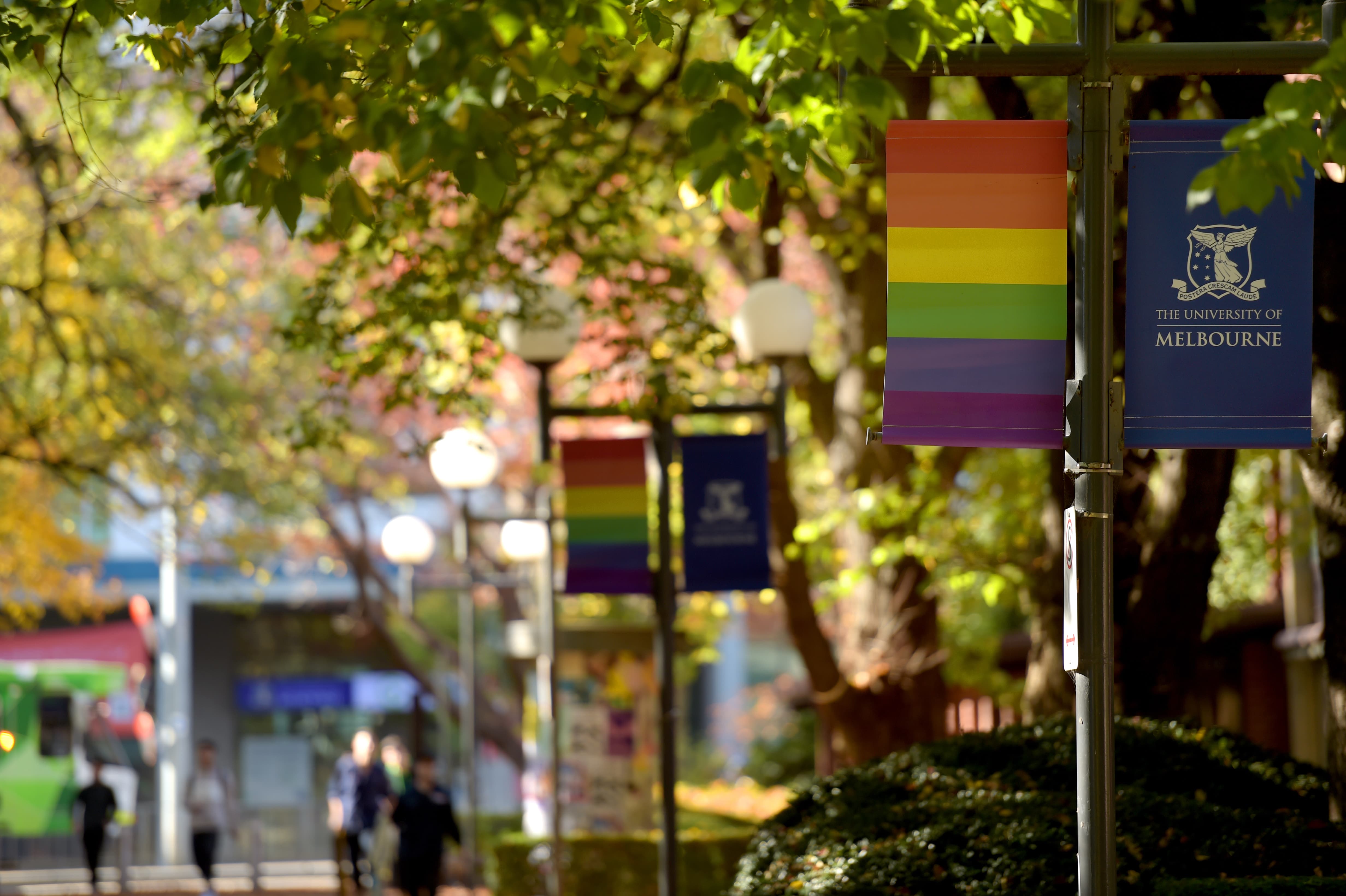 Image of rainbow banners at the University of Melbourne Parkville campus