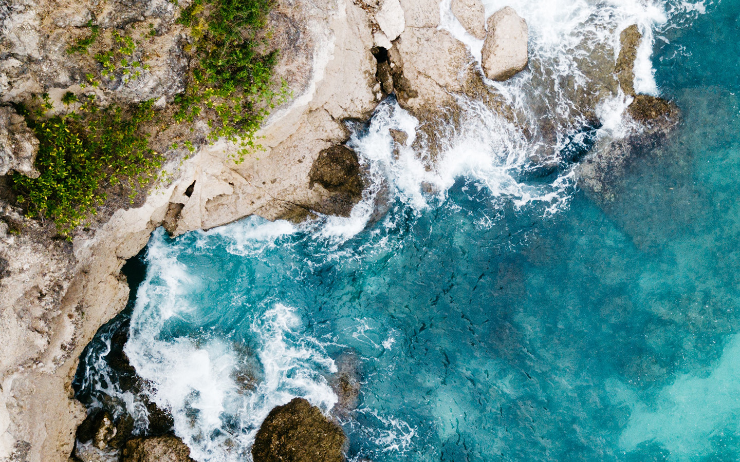 Shoreline