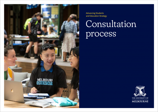 Download the consultation process PDF
