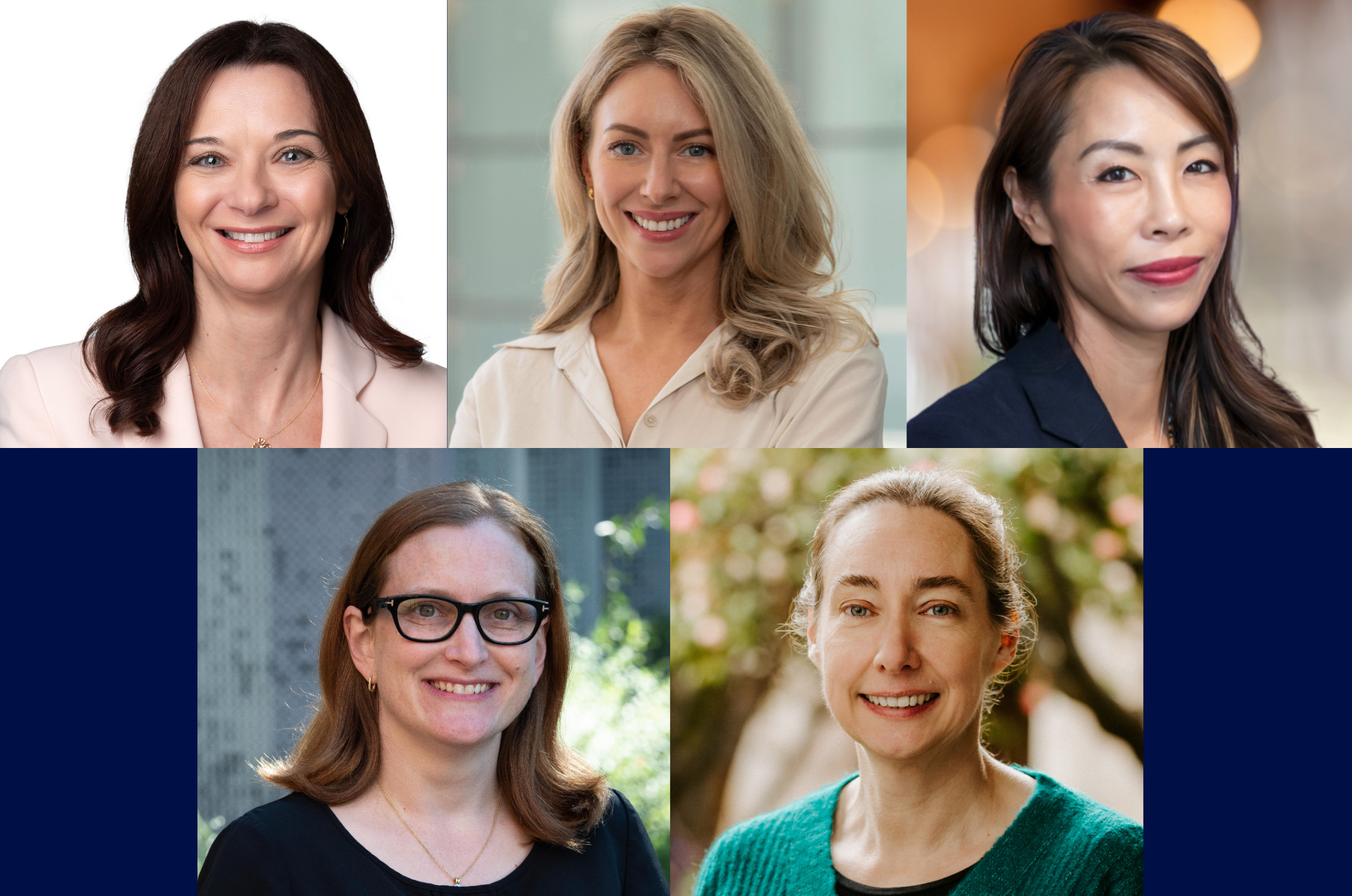 Top row (L-R): Professors Katherine Kedzierska, Laura Mackay and Sherene Loi. Bottom row (L-R): Professors Jennifer Flegg and Nicole Bell.