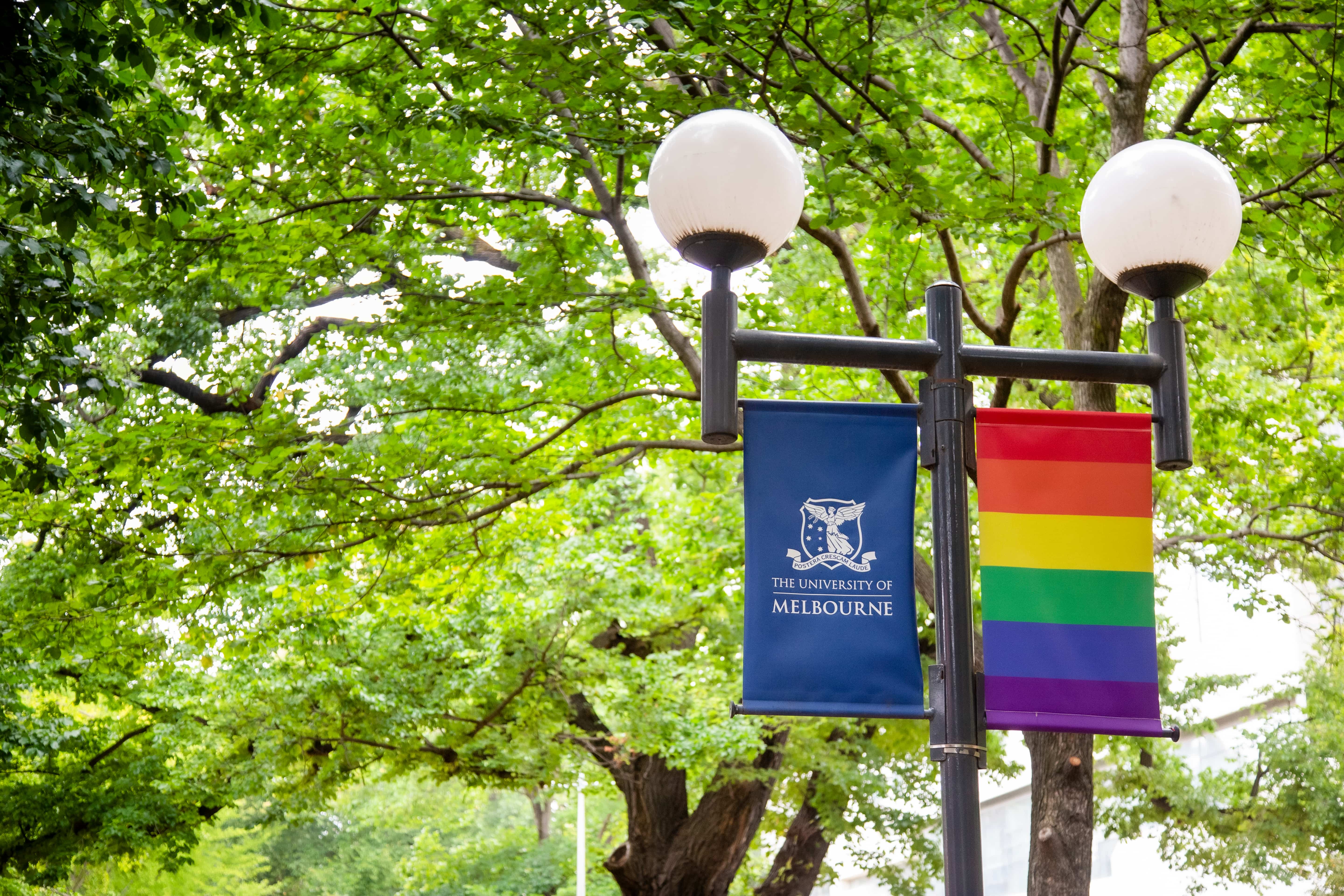 墨尔本大学边上的彩虹骄傲旗帜