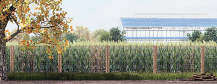 Image of a garden, a greenhouse is in the background. 