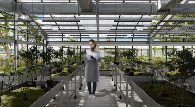 image of a greenshouse and a person inside it 